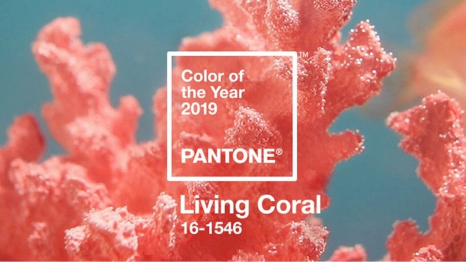 Pantone 2019 é a Living Coral