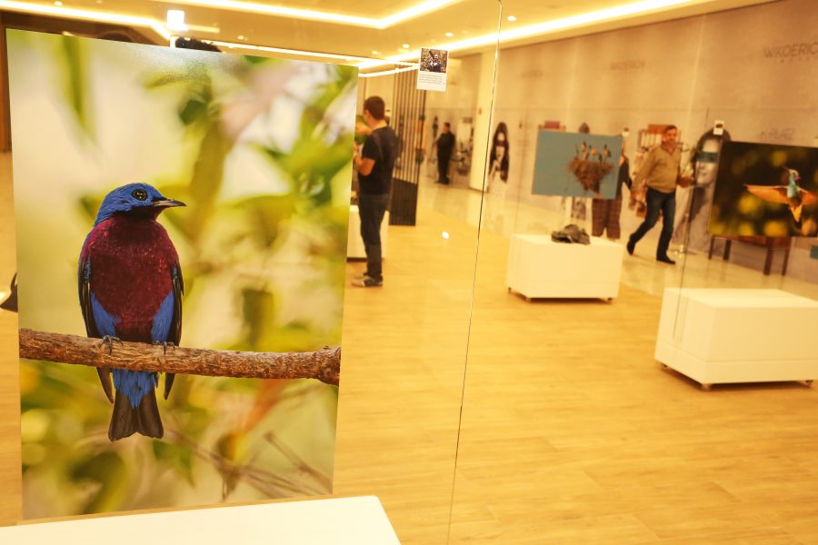 K-Platz Center recebe a exposição Voar Brasil