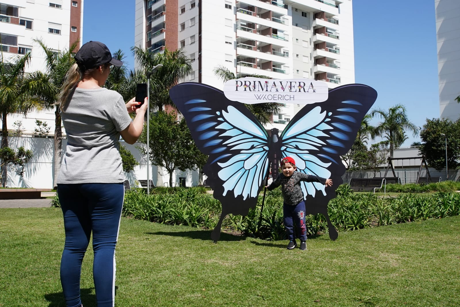 borboleta