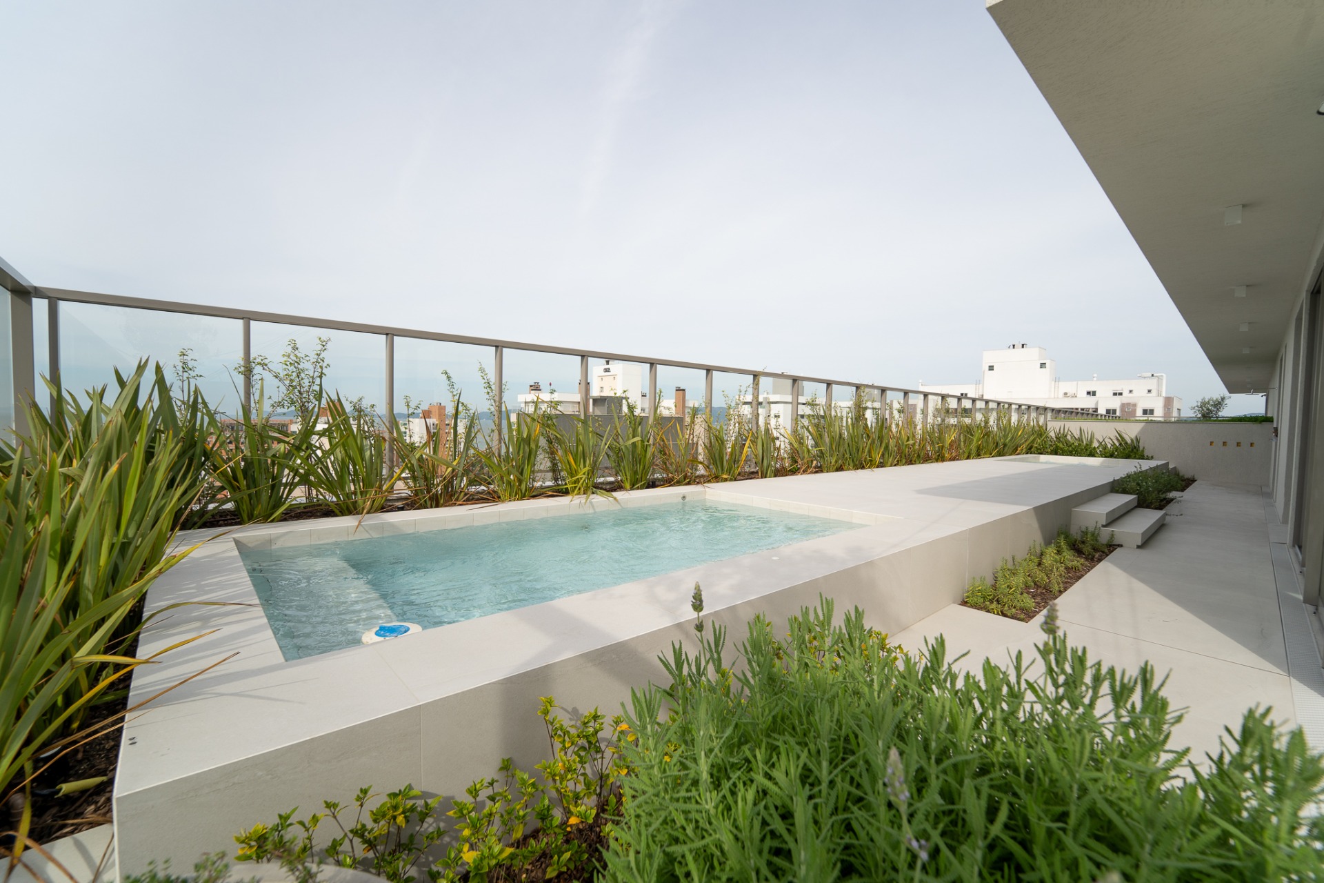 O verde que transforma: paisagismo na evolução das cidades. Uma piscina compacta e moderna instalada em um rooftop de tons claros. À esquerda, uma fileira de plantas altas de folhas pontiagudas (fórmios) margeia o guarda-corpo de vidro. Em primeiro plano, arbustos de lavanda. Ao fundo, a vista de prédios brancos sob um céu claro.