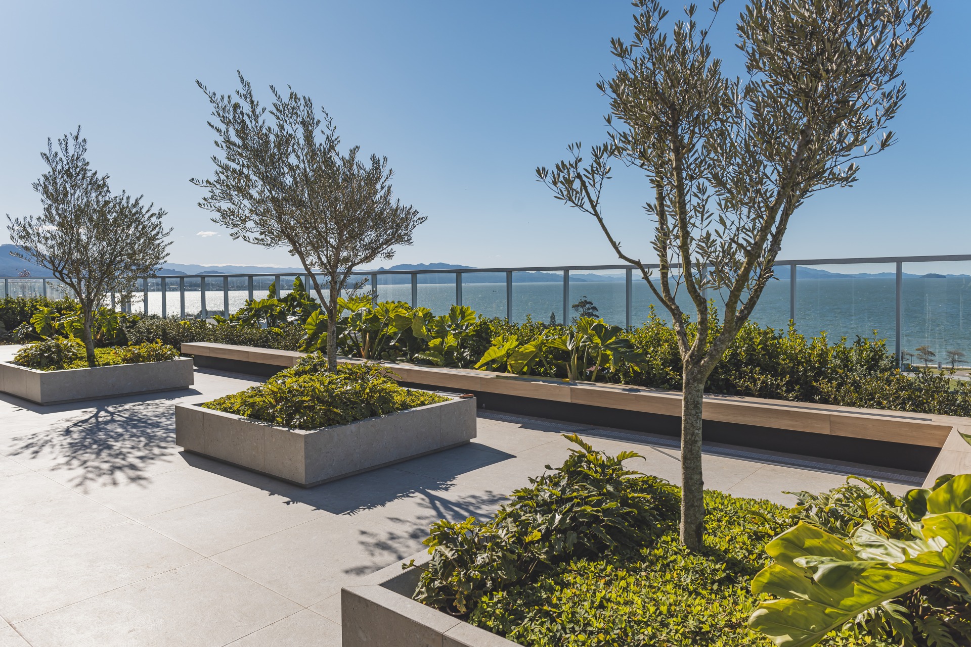 O verde que transforma: paisagismo na evolução das cidades. Vista panorâmica de um terraço ajardinado de um edifício moderno, com piso de laje clara e grandes jardineiras retangulares. Nas jardineiras, oliveiras jovens se misturam com densas folhagens verdes de plantas tropicais. Ao fundo, um guarda-corpo de vidro minimalista oferece uma visão desimpedida de uma baía cercada por montanhas, sob um céu azul claro e ensolarado.